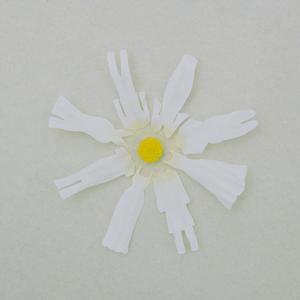 色妞www精品视频一级下载
