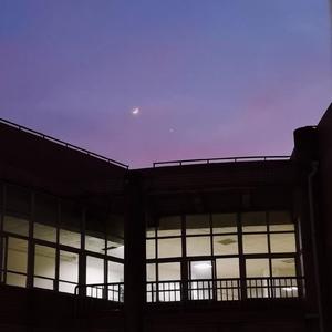 色妞www精品视频一级下载
